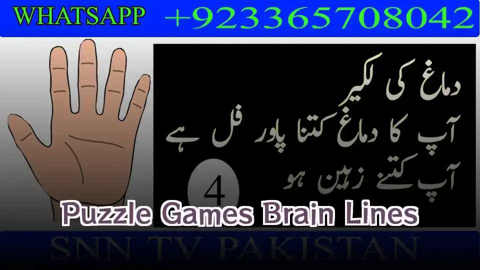 Puzzle Games Brain Lines