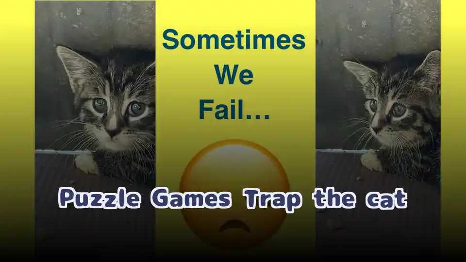 Puzzle Games Trap the cat