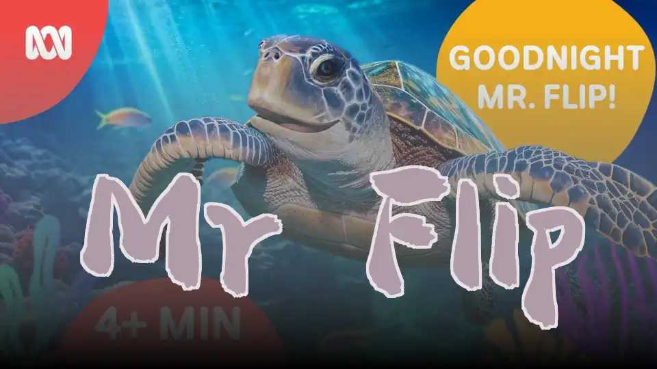 Mr Flip