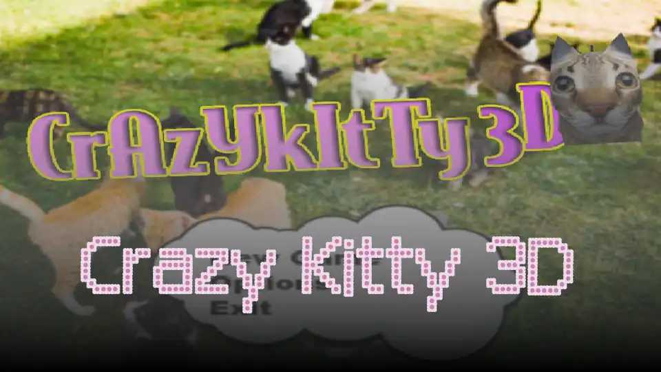Crazy Kitty 3D